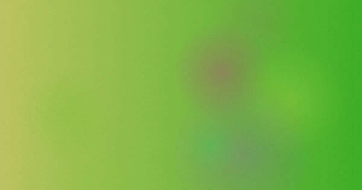 冖对比复盘：为什么冠字不能查成宀